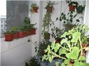 Vanzare apartament 2 camere Republicii