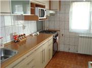 Inchiriere Apartament 3 camere Cantacuzino Pisica Alba