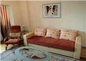 Inchiriere apartament 2 camere de LUX, zona Republicii