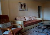 Inchiriere apartament 2 camere de LUX, zona Republicii