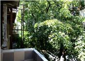 Apartament 2 camere de inchiriat in Ploiesti, zona Ultracentrala